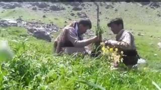 PDKI Peshmerga in the Zagros Mountains [upl. by Calloway]