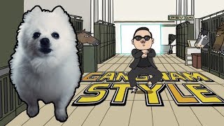 PSY  GANGNAM STYLE em CACHORRÊS  NOSTALGIA [upl. by Weatherley]