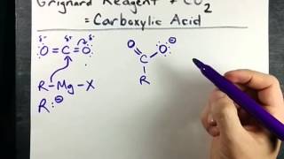 Grignard Reagent  CO2  Carboxylic Acid Mechanism [upl. by Tapes]