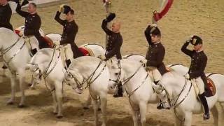 The Spanish Riding School of Vienna 08 [upl. by Atterahs]