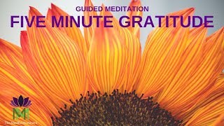 5 Minute Guided Meditation for Gratitude  Mindful Movement [upl. by Nnyrb]