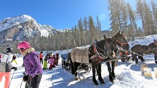 The hidden valley Alta Badia a ski run ending with a horse tow [upl. by Eemak]