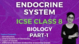 Endocrine System  ICSE CLASS 8 Biology  Part  1 [upl. by Mccahill582]