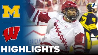 Michigan vs Wisconsin  NCAA College Hockey  Highlights  January 27 2024 [upl. by Yeaton]