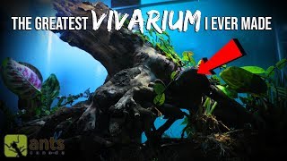 The Greatest Vivarium I Ever Made Ecosystem with Multiple Creatures [upl. by Noruq154]