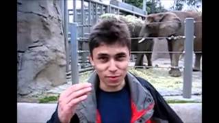 First YouTube Video  Me at the zoo By Jawed Karim  YouTube CoFounder [upl. by Lecrad]