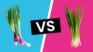 Spring Onion vs Green Onions  Whats the Difference [upl. by Basile]