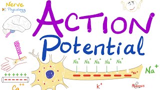 Action Potential  Most COMPREHENSIVE Explanation  Nerve Physiology [upl. by Anirbed]