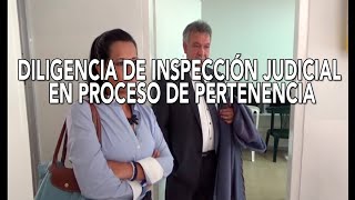 DILIGENCIA DE INSPECCIÓN JUDICIAL EN PROCESO DE PERTENENCIA PASO A PASO ¿QUÉ SE HACE [upl. by Ynohtnacram]