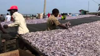 Un projet à succès de la FAO au Burundi Appui à la technologie postcapture de poisson [upl. by Marylinda408]