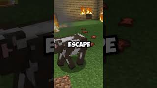 What If Minecraft Had Realistic Fire [upl. by Aelanej]