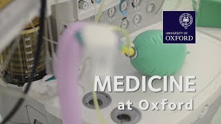 Medicine at Oxford University [upl. by Gwenn]