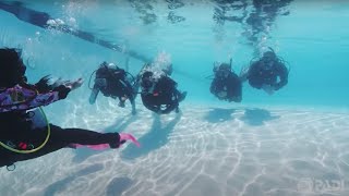 How to Get Scuba Certified [upl. by Aleck10]