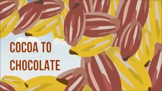 The Story of our Chocolate Journey [upl. by Notfol]