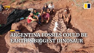 Dinosaur fossils found in Argentina could be from largest creature to have ever walked the Earth [upl. by Mya162]