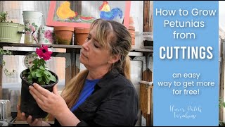 Grow Petunias from Cuttings quick and easy [upl. by Hillie]