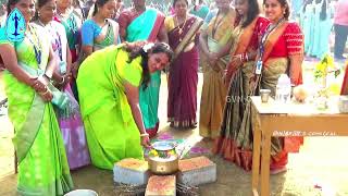 PONGAL CELEBRATION  2025  GVN COLLEGE KOVILPATTI [upl. by Hedveh820]