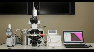 FreezeDry Microscopy  Lyophilization Cycle Development [upl. by Niwri408]