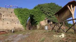 Francavilla Angitola  Calabria  Italia [upl. by Walkling398]