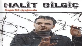 HALİT BİLGİÇ  BİZ YIKILMAYIZ [upl. by Ethelda]