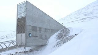 See inside the Doomsday seed vault [upl. by Eus]