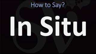 How to Pronounce In Situ CORRECTLY [upl. by Lhok615]