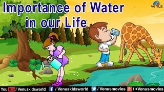 Importance of Water in our Life [upl. by Arman24]