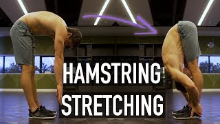 Hamstring Tendinopathy Progressive Rehab Program [upl. by Anelem]