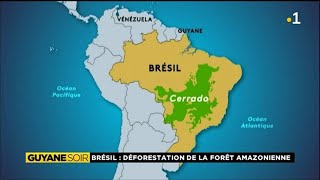 Brésil Déforestation de la forêt amazonienne [upl. by Ardnak]