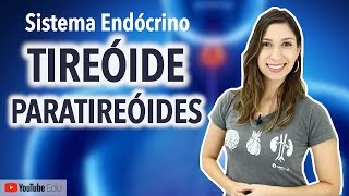 Tireóide e Paratireóides Sistema Endócrino [upl. by Onairelav]