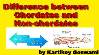 Difference between chordates and non chordates [upl. by Ayanej]