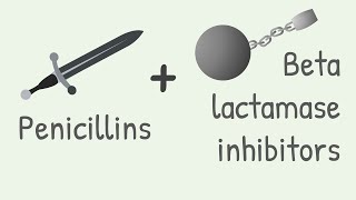 Penicillin with Beta lactamase inhibitors [upl. by Ariuqahs]