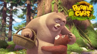 Boonie Cubs 【EP25】  The Family Visit Cartoon [upl. by Hooge]