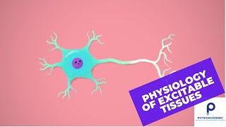 Physiology of excitable tissues [upl. by Lugar96]