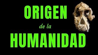 EL ORIGEN DE LA HUMANIDAD [upl. by Melville]