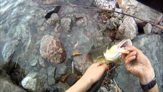 Okanagan River Fishing [upl. by Laved]