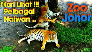 Lihat Haiwan pelbagai spesis  Zoo Johor [upl. by Assyl554]