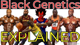 BLACK GENETICS EXPLAINED [upl. by Vaasta]