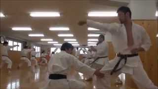 Training at JKA Japan Karate Association Honbu Dojo [upl. by Speroni]