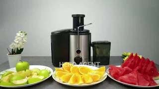 Sokany Stainless Steel Electric Juicer Extractor SK4000 [upl. by Frankel]