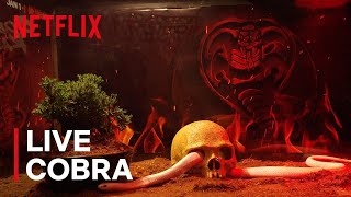 Cobra Kai Season 3  Yule Snake  Netflix [upl. by Georgianna893]