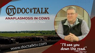 DocTalk Ep 211  Anaplasmosis in Cows [upl. by Nannette]