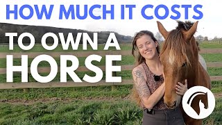 HOW MUCH DOES IT COST TO OWN A HORSE DETAILED COST GUIDE 💰 [upl. by Kalila]