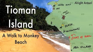 Tioman Island  Monkey Beach Hike  Jungle Forest Hiking Tips 2  Malaysia  2020 [upl. by Itsym]