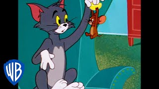 Tom und Jerry auf Deutsch  Trautes Heim Glück allein  WB Kids [upl. by Nirehtac]