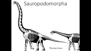 Sauropodomorpha [upl. by Audi31]