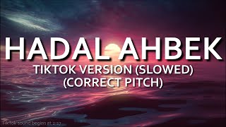 Hadal Ahbek TikTok Version Slowed CORRECTED PITCH  Issam Alnajjar [upl. by Nerrad]