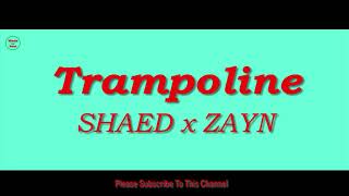 SHAED x ZAYN  Trampoline 1 Hour [upl. by Ybocaj]