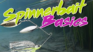 Bass Fishing Basics How To Fish A Spinnerbait [upl. by Evslin]