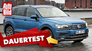 VW Tiguan 2020 Dauertest  SUV  Ratgeber  Info [upl. by Marjy893]